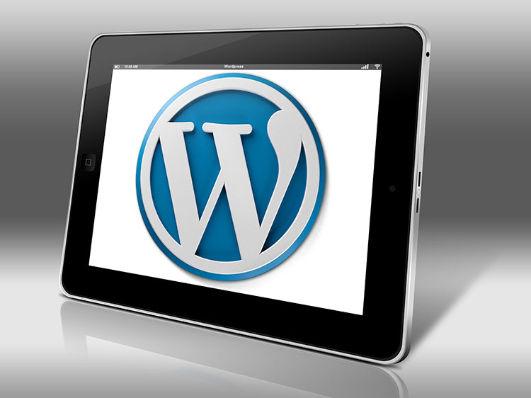 Wordpress malware removal services
